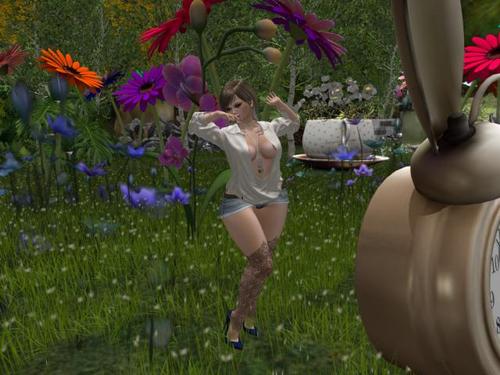 Web 58fb1e23289dd243e6000001