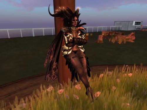 Web 59093c88289dd278d7000001