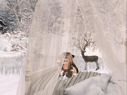 Web 5beefc4fd9859c78d3000001