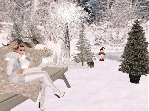 Web 5c0282f5d774f8578e000001