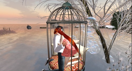 Web 5785d032b015406a88000001