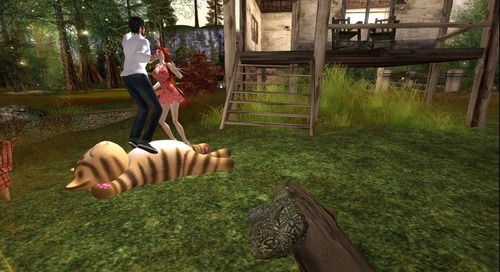 Web 5785db7ce85cda05bf000001