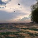 Thumb 59dd09b0d774f83aea000001