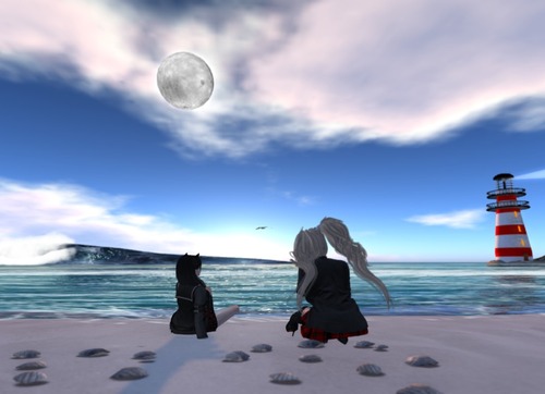 Web 57dbe319f8a1ec1e4b000001