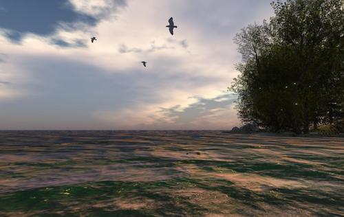 Web 59dd09b0d774f83aea000001