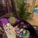 Thumb 5c96474ad9859c5479000001