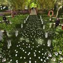 Thumb 5ccf14de289dd27667000001