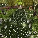 Thumb 5ccf151a289dd27ab5000001