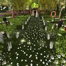 Thumb 5ccf1555d9859c3122000001