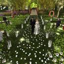 Thumb 5ccf1589289dd27fad000001