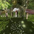 Thumb 5ccf15f773ed171e66000001