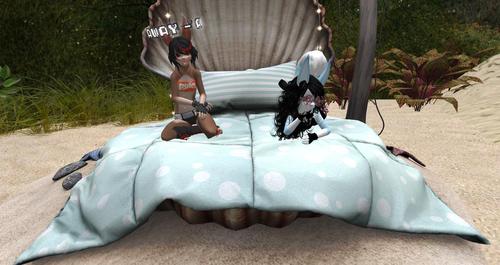 Web 599d5388289dd23b67000001