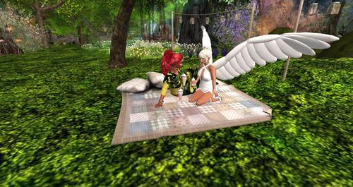 Web 5af6f157d9859c5f04000001