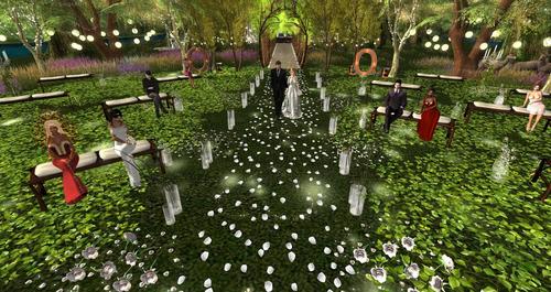 Web 5ccf157dd9859c3316000001