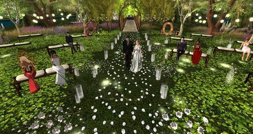 Web 5ccf1589289dd27fad000001