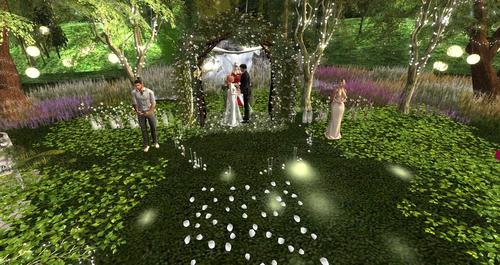 Web 5ccf15cfd9859c35bb000001