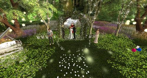 Web 5ccf15f773ed171e66000001