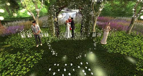 Web 5ccf1603289dd2036c000001