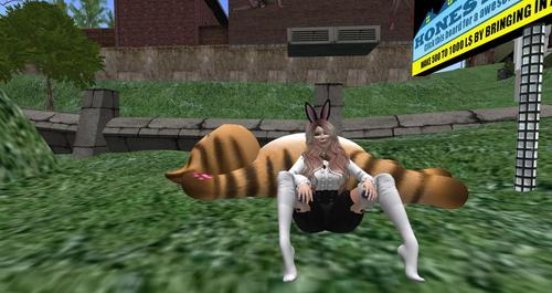 Web 5cd43075289dd24479000001