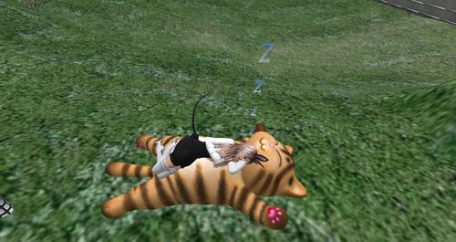 Web 5cd4309dd774f8642d000001