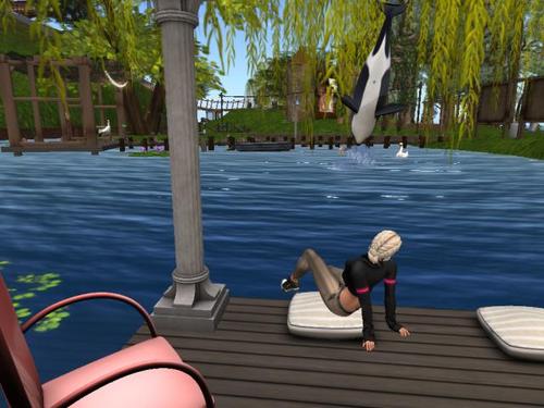 Web 5902555bd774f826d0000001