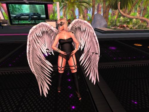 Web 591a0374d9859c1128000001