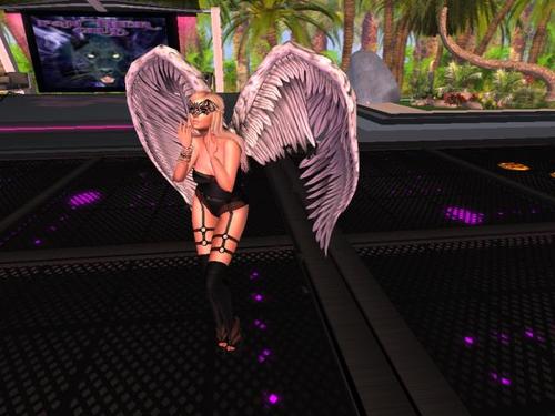 Web 591a038cd774f84764000001