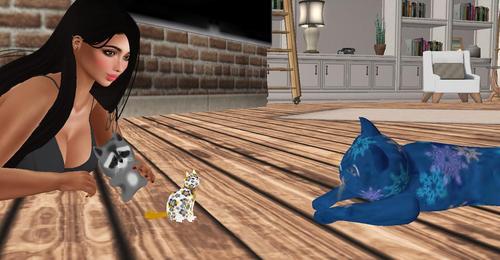 Web 5a65d4f3d774f811cd000001