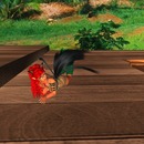 Thumb 57b91043f8a1ec6e83000001