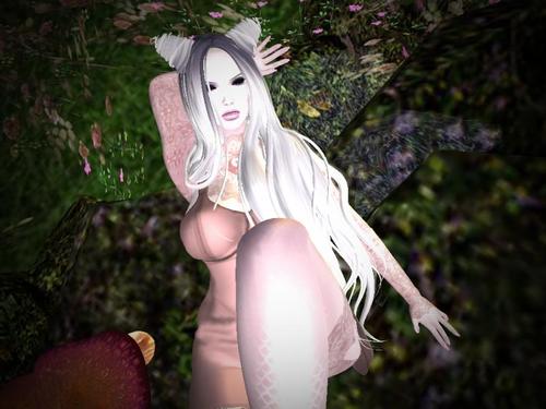 Web 5ce03586289dd2082b000001