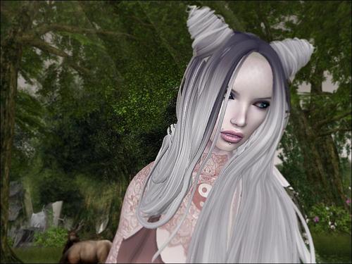 Web 5ce0376cd9859c480a000001