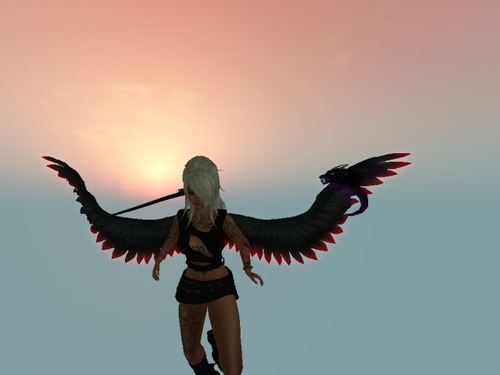 Web 5771f0fbb01540687c000001