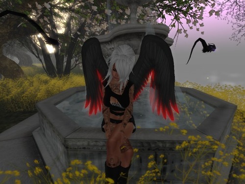 Web 5772061de85cda1573000001