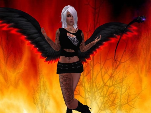 Web 5772092db713f71f2d000001