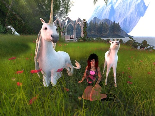 Web 577519fdf8a1ec06a3000001