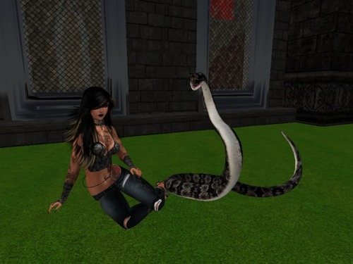 Web 57dc76dab713f74a29000001