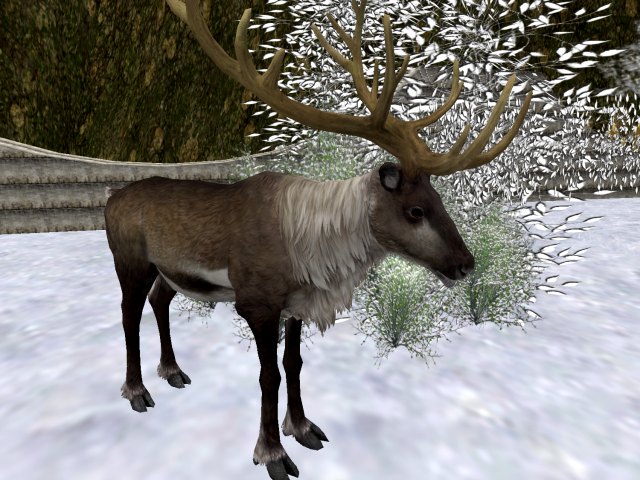 Original 5a1be60e73ed176ffd000001