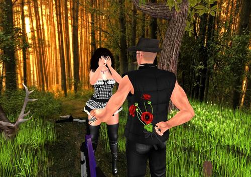 Web 59e9db9f289dd20d86000001