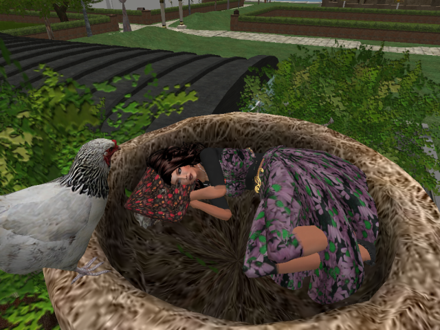 Original 590230ca73ed176e82000001