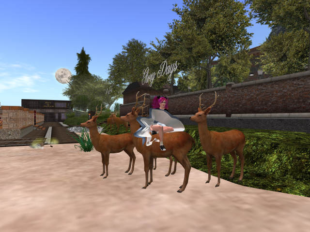 Original 5afb8a45d9859c52dc000001