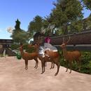 Thumb 5afb8a45d9859c52dc000001