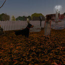 Thumb 653309c4e556e909362a029d