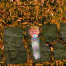 Thumb 6534648f82e5fe557b1502cc