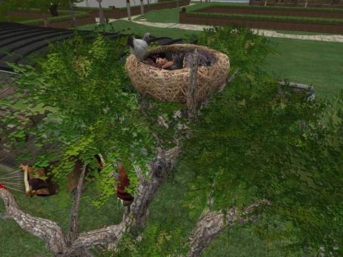 Web 590230e4d9859c029e000001