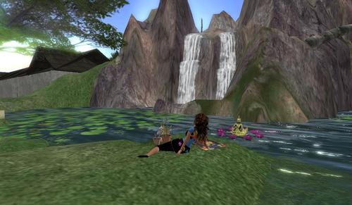 Web 5985b250289dd22e46000001