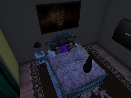 Web 5acd7b98d9859c71d7000001