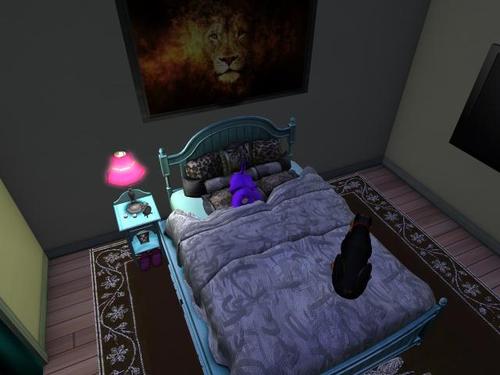 Web 5acd7bc6d9859c7371000001