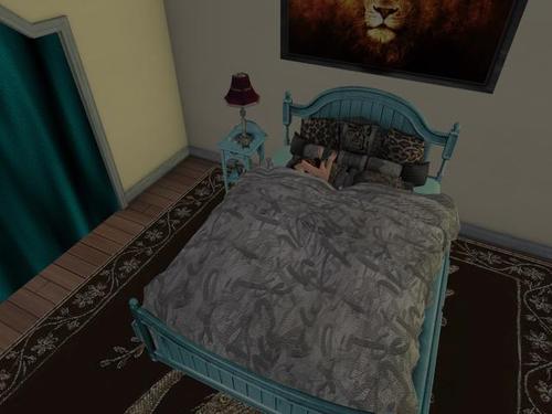 Web 5ad16abad9859c78ed000001