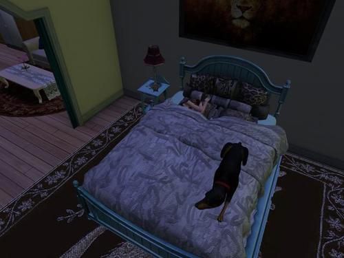 Web 5ad16aedd9859c7b19000001