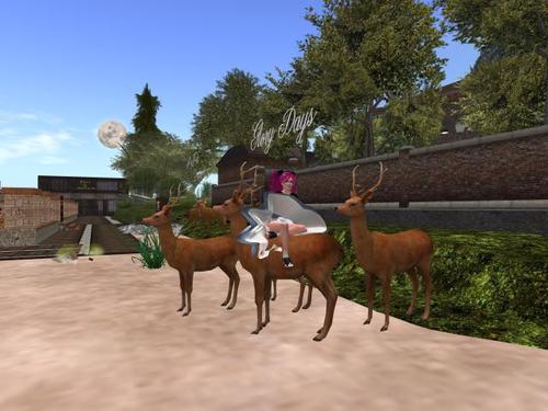 Web 5afb8a45d9859c52dc000001